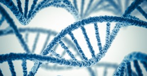Double helix