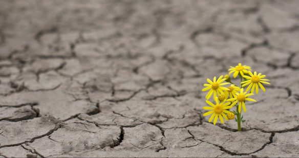 hope