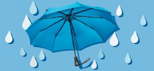 umbrella